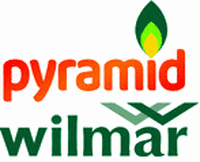 Pyramid Wilmar